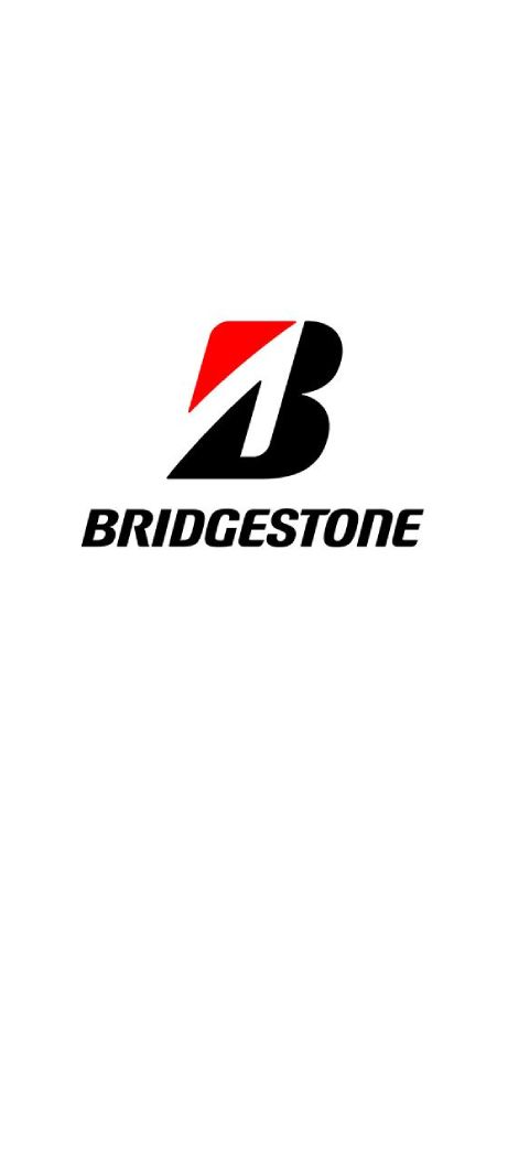Bridgestone portfolio